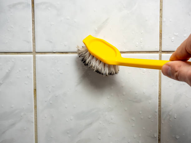 Certified Mold Removal in Bolivar Peninsula, TX