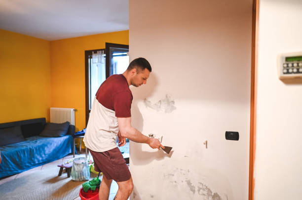  Bolivar Peninsula, TX Mold Removal Pros