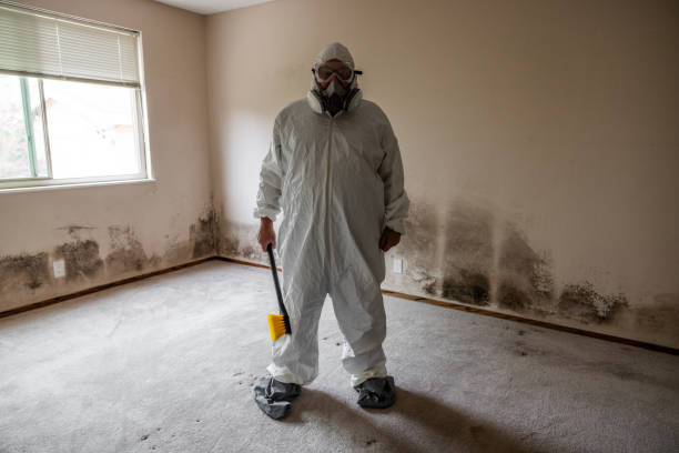 Best Mold Removal Company Near Me  in Bolivar Peninsula, TX